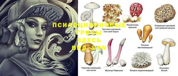 трава Алексин